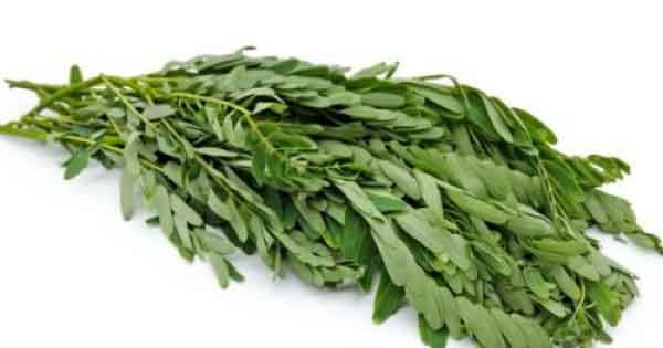 Fresh Agathi Keerai (Sesbania Grandiflora) – Organic Indian Greens in UK