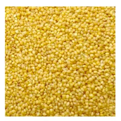 Natures Millets Thinai/Foxtail Millet 1kg in packaging.