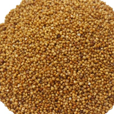 Natures Millets Varagu/Kodu Millet 1kg pack.